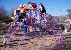 15ft Purple Playground Climbing Dome